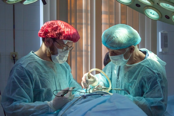 Cirurgias Veterinárias: Preparação, Procedimentos e Cuidados Pós-Operatórios