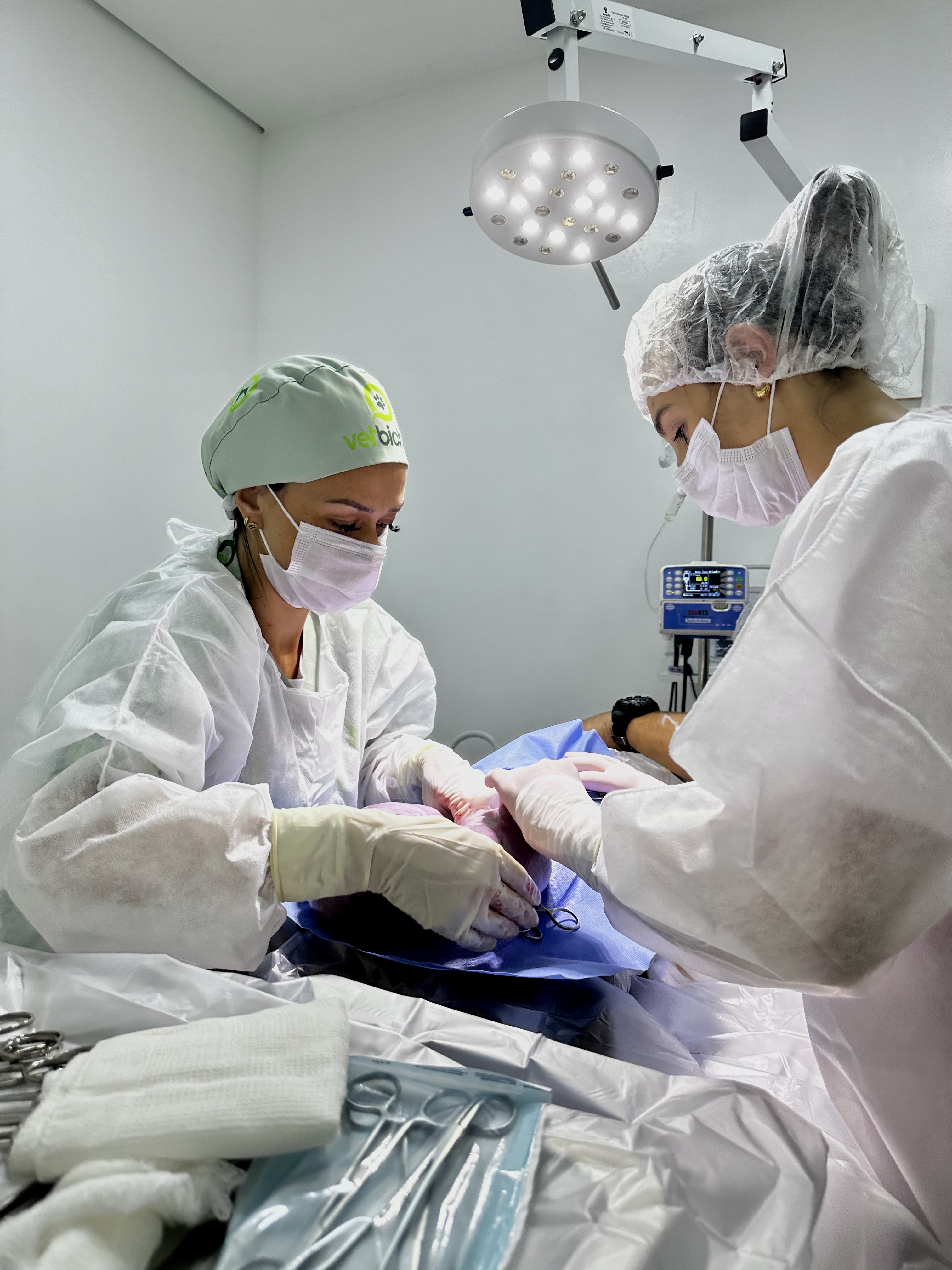 Cirurgia veterinária com equipamentos de última geração na Vetbichos