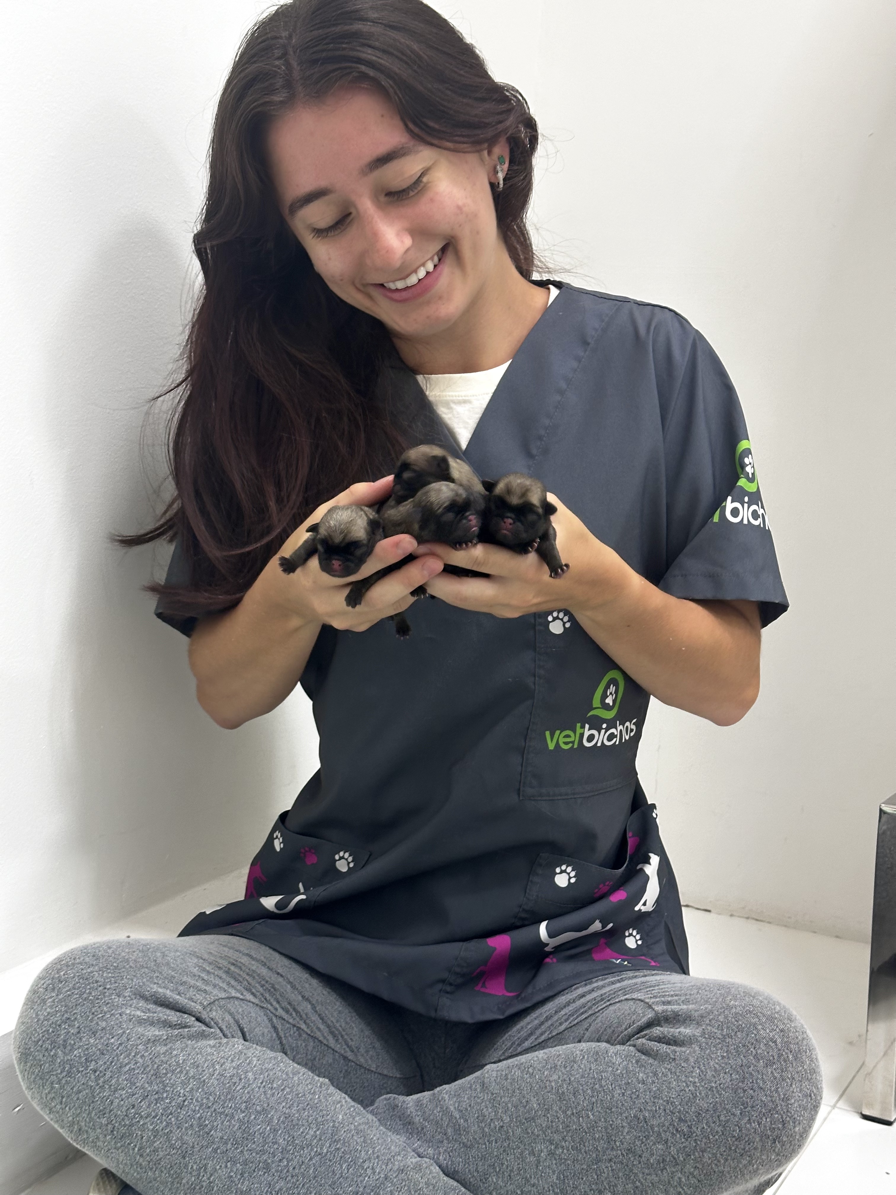 Veterinária da Vetbichos cuidando de filhotes recém-nascidos com carinho e profissionalismo